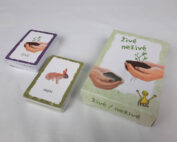 spoločenská kartová hra