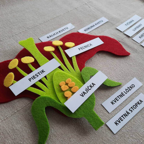 Montessori na doma a pre škôku