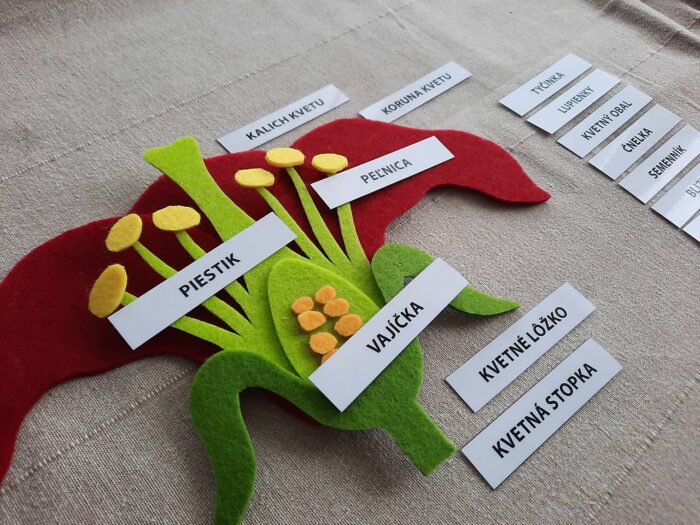 Montessori pre škôlku