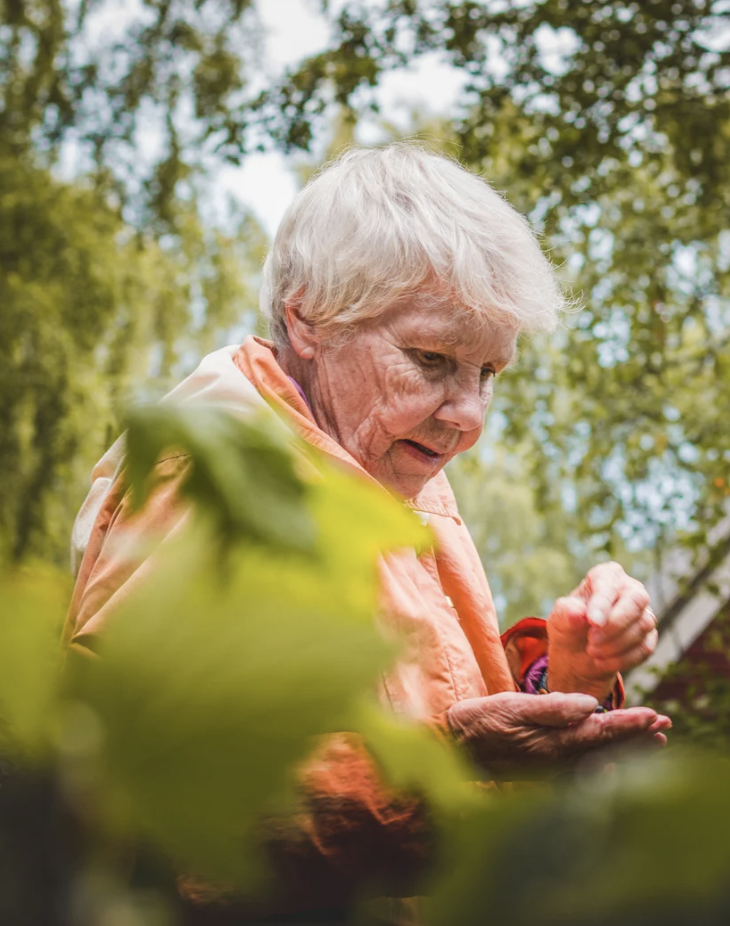 Seniori a starostlivost o rastliny